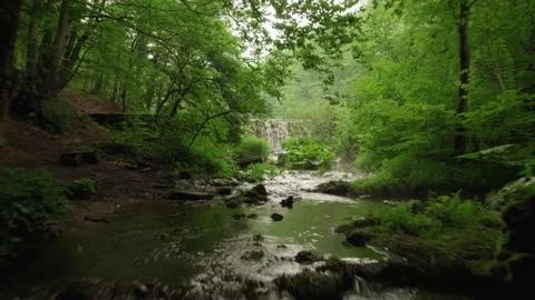 Slow flying through the forest over the beautiful mountain stream Stock Footage 218321430