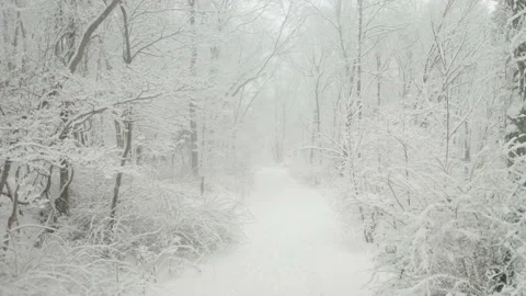 Slow flying thru snow during snowstorm,Trees covered during winter storm heavy Stock Footage 148513541