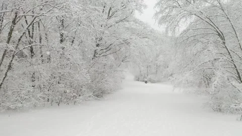 Slow flying thru snow during snowstorm,Trees covered during winter storm heavy Stock Footage 148513598