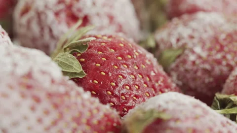 Slow focus pulling on ripe frozen strawberries 4K video Stock Footage 171820655