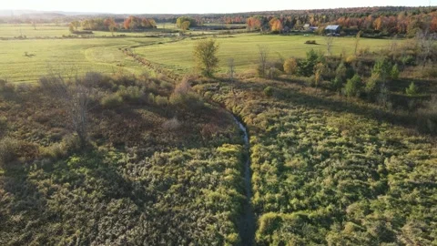 Slow follow of a stream 動画素材 140944932