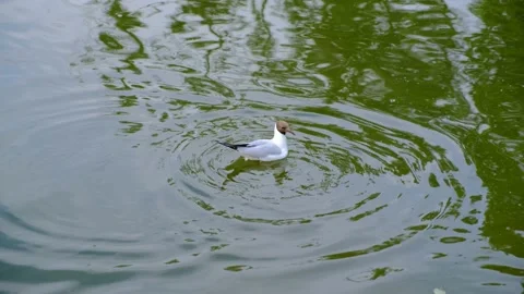 Slow Stock Footage 230845830