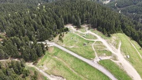 Slow Forward Drone Movement on Forest Road Looking Up into Giant Trees Stock-Footage 337948313