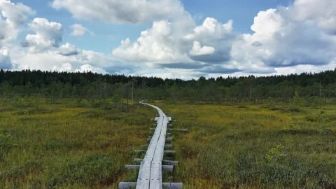 Slow Forward Drone Path Following Boardwalk Across Large Bog Видео 345124653