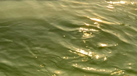 Slow green waters texture 库存影片 25732839