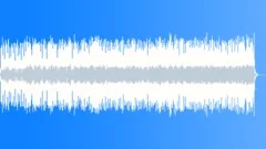 Slow Hand (WP) 05 Alt4 (bluesy, soulful, confident, cool, slow) Stock Music