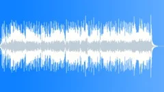 Slow Hand (WP) 11 Alt4 60 (bluesy, soulful, confident, cool, slow)Stock Music