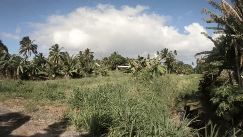 Slow horizontal pane view from right to left of village small white cottage Stock Footage 233674414