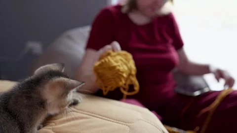 Slow knitting on a cozy couch for digital detox with yarn, needles, and a Vídeos de archivo 346147160