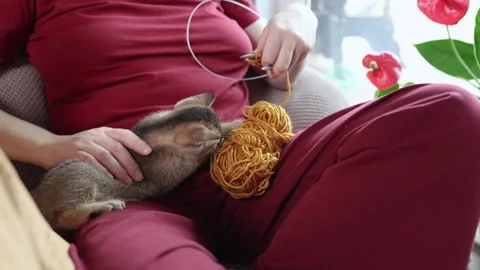 Slow knitting on a cozy sofa for digital detox and mindful craft with a small Vídeos de archivo 346146664