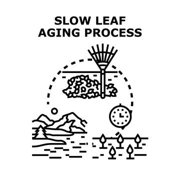 Slow leaf aging process concept illustration Stock Illustration