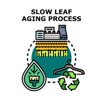 Slow leaf aging process vector concept illustration 스톡 일러스트