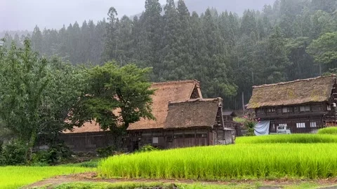 Slow Left-to-Right Pan of Rainy Gassho-zukuri Village in Shirakawa-go Japan Stock Footage 342303772