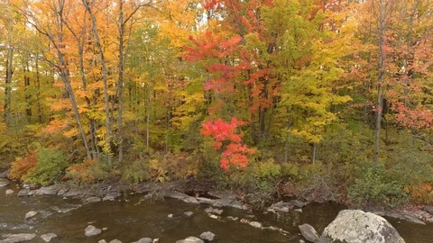 Slow lifting shot of drone flying atop a river during autumn season Stock Footage 119220991