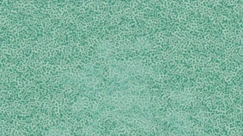 Slow Liquid Waves Overlay Effect Stock Footage 328667528