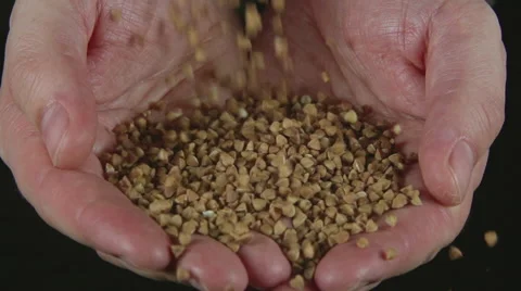 SLOW: A lot of a buckwheates fall on a human hands Stock Footage 62425963