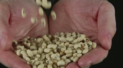 SLOW: A lot of a white beans fall on a human hands Stock Footage 62425922