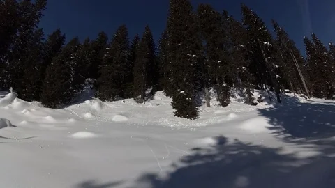 Slow Low Angle Pan of Winter Forest, Ultental, Trentino, Italy Stock Footage 83976076