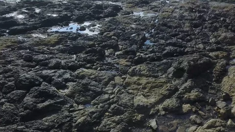 Slow low flight over tidal pool at Playa Avellana Stock Footage 90920435