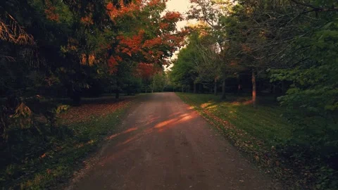 Slow Low Flying Drone Flight Over A Walking Path Through The Trees With Sun Rays Video stock 255048910