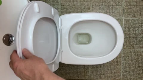 Slow lowering of seat and lid on floor-mounted toilet Stock Footage 335395802