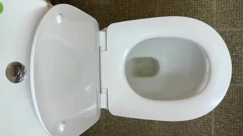 Slow lowering of seat on floor-mounted toilet, top view Stock Footage 335395638