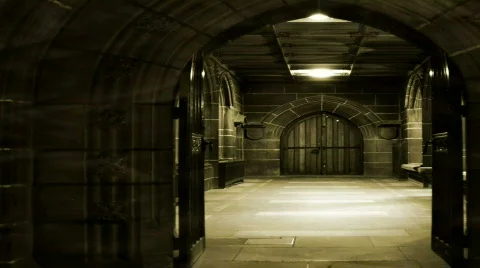 Slow L/R pan of old cathedral doors Stock Footage 346392