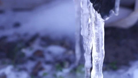 Slow melting icicle Stock Footage 87621672