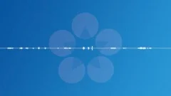 SLOW METAL GATE SQUEAKS 2 LONG Sound Effect