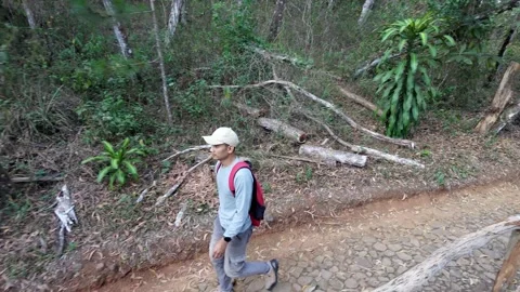 Slow mo aerial side tracking of man with red backpack walking on forest trail. Vídeo Stock 341915300