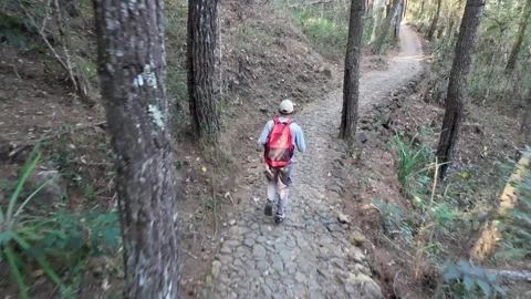 Slow mo aerial tracking rear view of man with red backpack running on forest tra 스톡 동영상 341915605