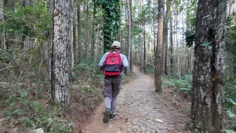 Slow mo aerial tracking rear view of man with red backpack running on forest tra Stock Footage 341916277
