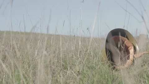 Slow mo Army helmet falling to the ground in grass during the day Stock Footage 252289471