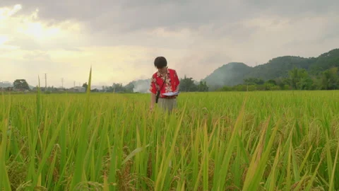 Slow-mo, Artistic Imagination, Inspiring Nature, Solitude Reflections Stock Footage 341097355