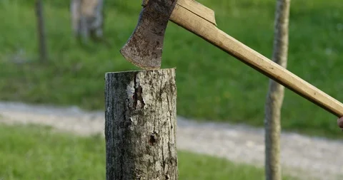 Slow Mo Axe Chops Log In Half Stock Footage 112362353