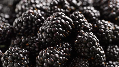 Slow-mo blackberries fall on juicy harvest pile. Close-up texture, vibrant Stock Footage 314332856
