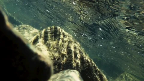 Slow mo camera at the bottom in clear water at an angle Stock Footage 80452079