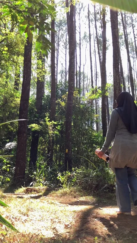 Slow mo camera follow hijabi woman trekking in a pine forest Vídeo Stock 340497911