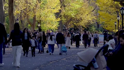 Slow-Mo, Central Park Crowds, City Nature, Family Leisure, Park Exercise Video stock 322359952