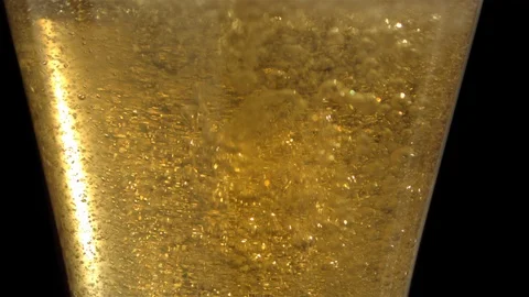 Slow Mo Close Up Beautiful Bubbly Beer Stock Footage 113203878