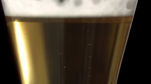 Slow Mo Close Up Beer Bubbles Stock Footage 113201526