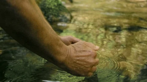 Slow Mo Close Up Drinking From A Stream Stock Footage 113394162