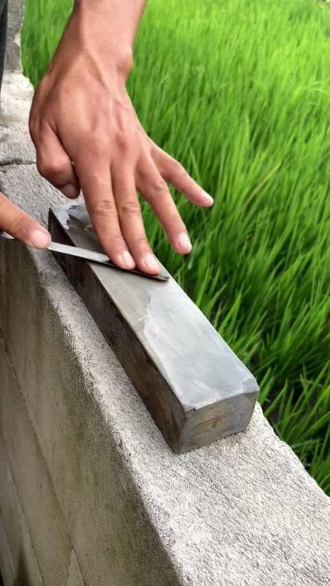 Slow mo close up hands sharpening sickle on whetstone by green rice field. Stock Footage 342516176