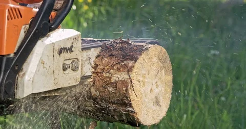 Slow Mo Close Up Man Sawing Log With Chainsaw Stock Footage 112316084