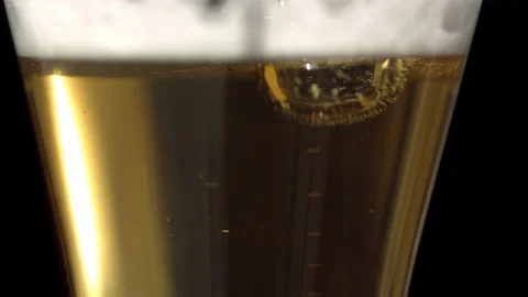 Slow Mo Close Up Pouring A Pint Of Lager Stock Footage 113203161