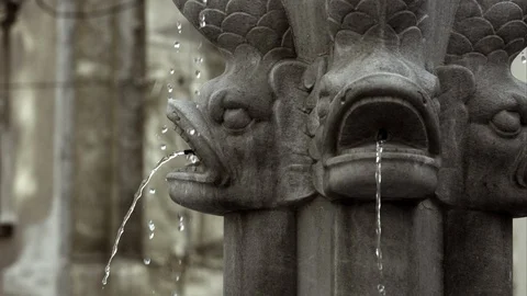 Slow Mo Close Up Stunning Design Stock Footage 120020096