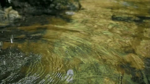Slow Mo Close Up In Touch With Nature Stock Footage 113394929