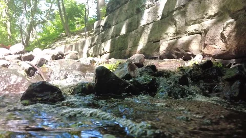 SLOW MO CREEK Stock Footage 194861115