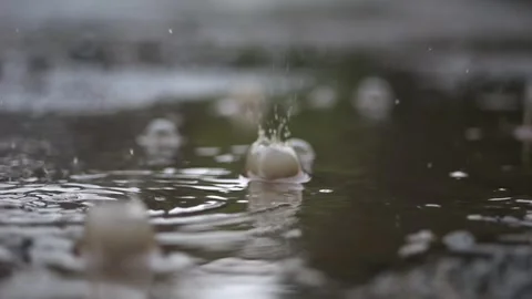 Slow-mo droplets impact puddle; characteristic bubbles form with reflection.. Stock Footage 254670277
