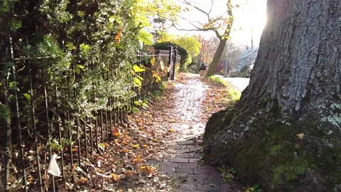 SLOW MO FALL SIDEWALK Stock Footage 187096112